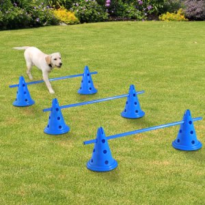 Pawhut Set of 3 Dog Agility Equipment Jumps Kit-Blue