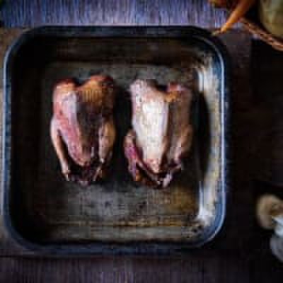 Wild & Game Limited Whole wood pigeon