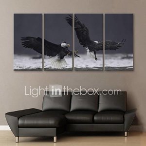 E-HOME Stretched Canvas Art The Eagle Decorative Painting Set of 4