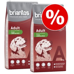 Ekonomipack: 2/3 påsar Briantos till lågpris! - Adult Lax & ris  (2 x 14 kg)