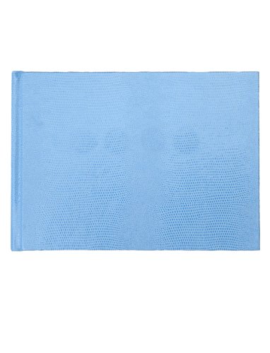 Sloane Stationery GUEST BOOK - POWDER BLUE