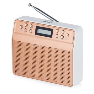 AKAI Dynmx Blush Gold Portable DAB Radio