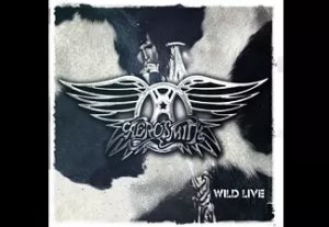 Aerosmith - WILD LIVE | CD