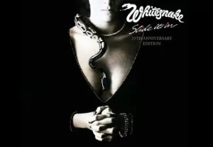 Warner Music Benelux Bv Whitesnake - slide it in 35th anniversary | cd