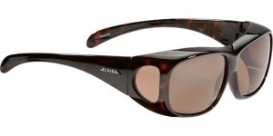 Alpina Sunglasses Overview A8354391