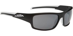 Alpina Sunglasses Testido A8514331