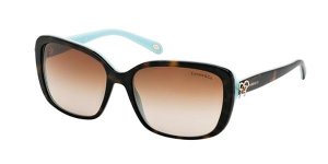 Tiffany & Co. Sunglasses TF4092 81343B