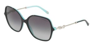 Tiffany & Co. Sunglasses TF4145B 80553C