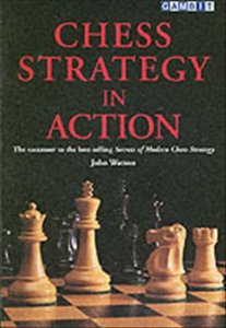 Chess strategy in action