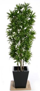Dracaena Song of Jamaica Flame Retardant Artificial Tree Plant 180 cm