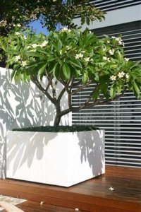 Idealist Metal Florida outdoor aluminum square white planter w40 h40 l40 cm, 64 ltrs cap.