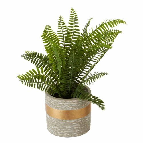 Interiors by PH Faux Boston Fern in Cement Pot