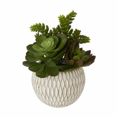 Premier Housewares Interiors by ph faux mixed succulents in ceramic pot