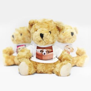 Photo Teddy Bears