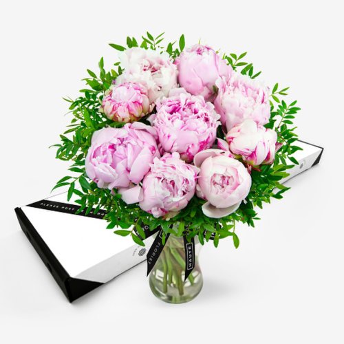 Pretty Pastels - Luxury Letterbox Flowers - Letterbox Peonies - Letterbox Flower Delivery - Flowers Through the Letterbox