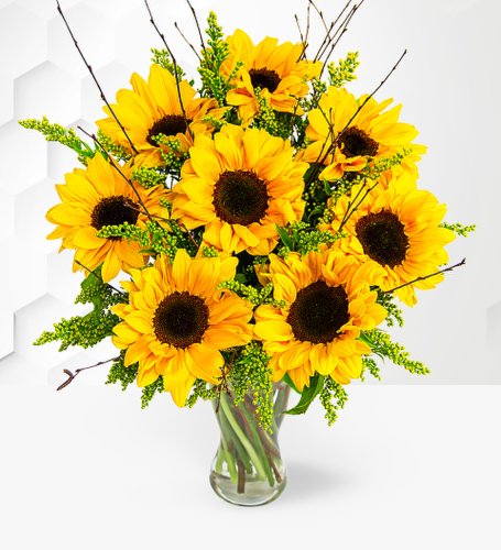 Prestige Flowers Sensational sunflowers with free chocolates