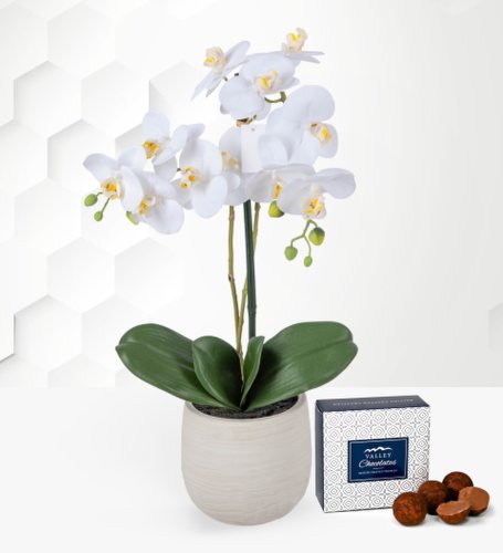 Prestige Flowers Silk orchid plant - free chocs