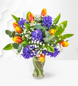 Spring Hyacinth & Tulips - Flower Delivery - Send Flowers - Next Day Flowers - Flowers By Post - Next Day Flower Delivery