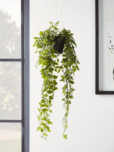 NEW Faux Hanging Pothos