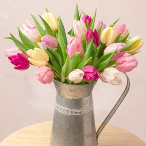 Bunches Spring tulips