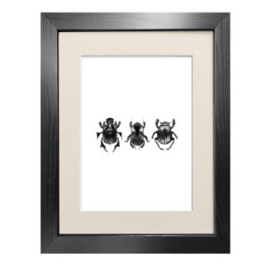 Emily Carter - 'Dung Beetles' - Fine Art Print A3