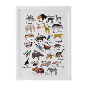 JAMES BARKER - Animals Alphabet Print