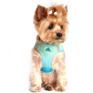 American River Choke-Free Dog Harness - Aruba Blue Ombre PRS# 60953