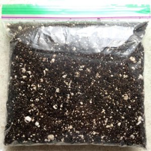 Unbranded Carnivorous plant soil mix with sphagnum moss