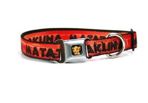 Buckle Down Disney simba lion king hakuna matata sunset orange logo dog collar, 1 wide