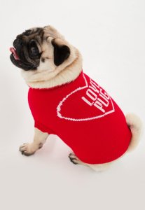 Rose Pull rouge pour chien love pug, Rose