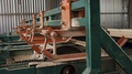 Conveyor Line For Wood Processing. Sawing Wood On Boards On Sawmill