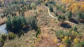 Empty Road In The Forest. Aerial View Of A Road In The Middle Of The Lush Pin