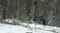Forest In Winter, Forwarder Processing The Wood