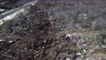 Mexico Beach, Florida - Aerial Views Of The Forest Show The Debris
