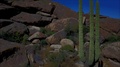 Second Saguaro Aerial