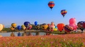 Time Lapse Beautiful Balloons Of Singha Park International Balloon Fiesta 2017