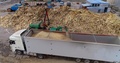 Wood Processing For Sawdust For The Production Of Fuel Briquettes. A Large Pile
