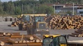 Work Process At A Sawmill, Heavy Machinery At A Wood-Processing Factory, Work