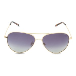 Sunglasses - PLD6012N