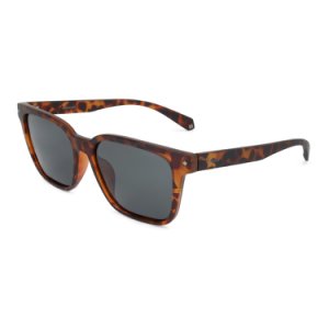 Sunglasses - PLD6044FS