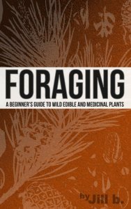 Abundant Publishing Foraging - a beginner's guide to wild edible and medicinal plants