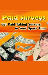 Bibliomundi Get paid taking surveys in your spare time