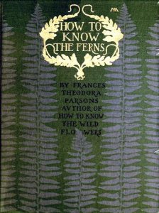 Volumesofvalue How to know the ferns: a guide to the names, haunts and habitats of our common ferns