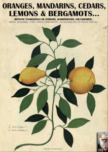 Dv-001 Oranges, mandarins, cedars, lemons & bergamots.: artistic engravings of ferrari, aldrovrandi, volckhamer.