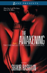 The Awakening: Book One of the Chronicles of the Nubian Underworld